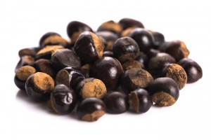 Dried guarana seeds, taken from the red & white guarana berry.