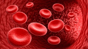 Vitamin B6's role in red blood cell health may contribute to ZMA's benefits for anabolic muscle growth.