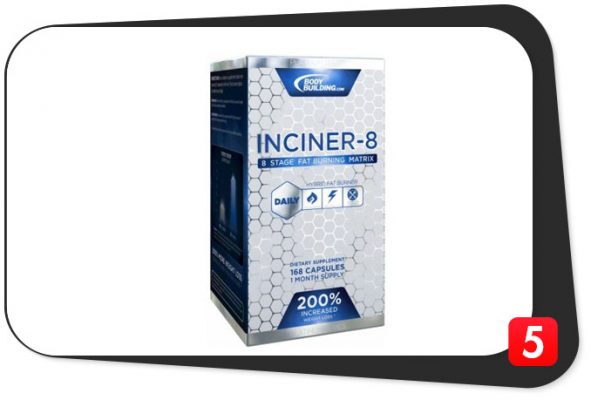 inciner-8