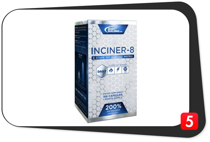 inciner-8