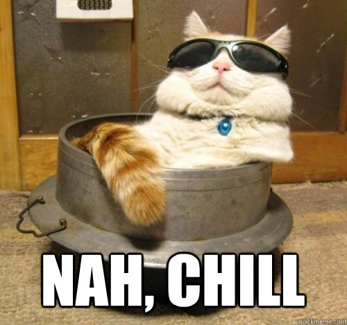 Chill Cat Meme Best 5 Supplements 6945