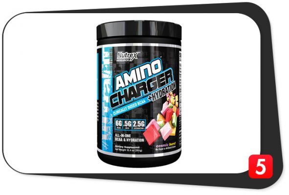 Amino Charger Review