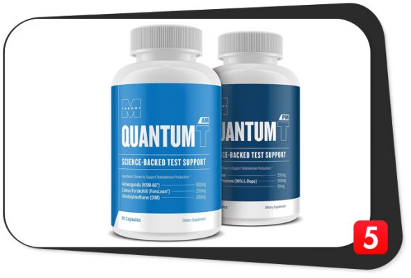 m-theory-quantum-t-review