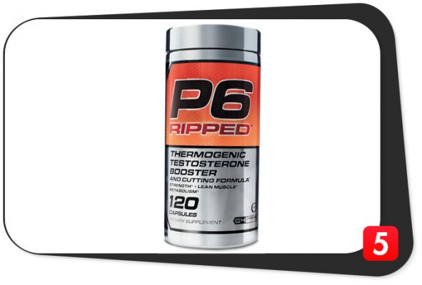 P6 Ripped review