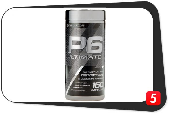 p6-ultimate-review