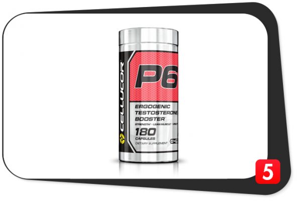 P6 Red Review