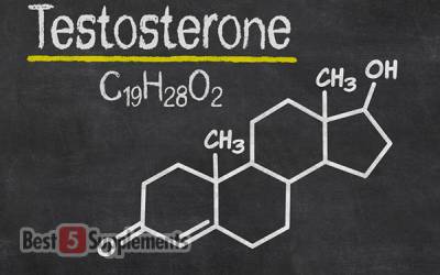 A benefit of the best multivitamin for sensitive stomachs is testosterone synthesis